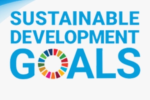 SDGs