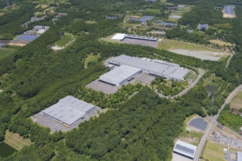SANDEN FOREST